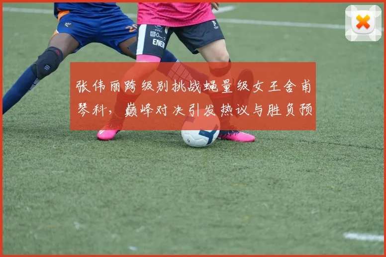 张伟丽跨级别挑战蝇量级女王舍甫琴科，巅峰对决引发热议与胜负预测