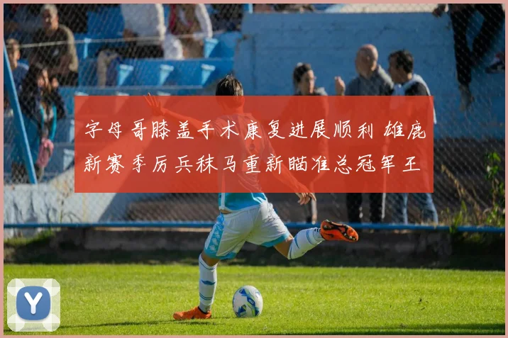 字母哥膝盖手术康复进展顺利 雄鹿新赛季厉兵秣马重新瞄准总冠军王座