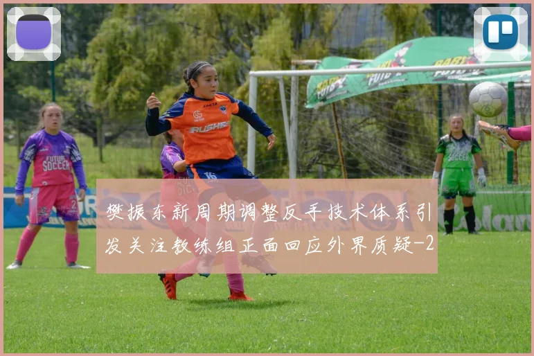 樊振东新周期调整反手技术体系引发关注教练组正面回应外界质疑