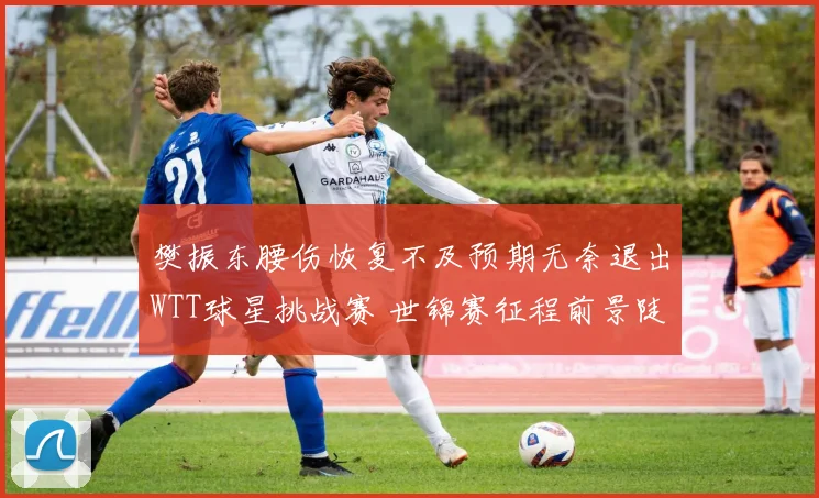 樊振东腰伤恢复不及预期无奈退出WTT球星挑战赛 世锦赛征程前景陡然蒙上阴影