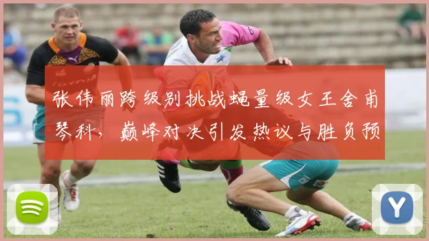 张伟丽跨级别挑战蝇量级女王舍甫琴科，巅峰对决引发热议与胜负预测